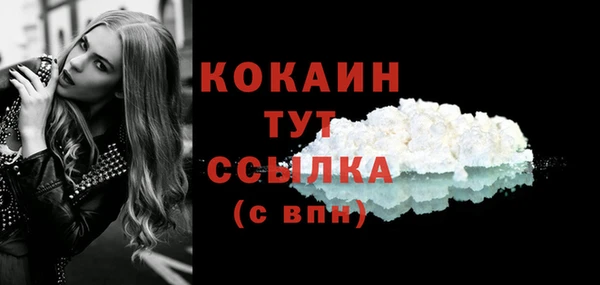 винт Гусиноозёрск