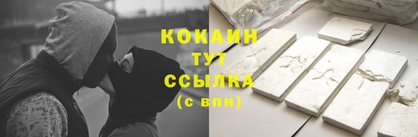 jwh Гусь-Хрустальный